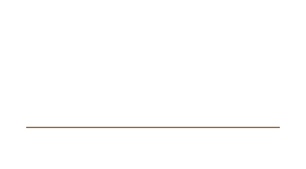 True North Optometry Logo
